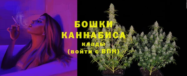альфа пвп Горно-Алтайск