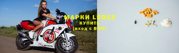 прущий лед Горняк