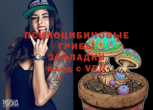 прущий лед Горняк