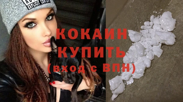 прущий лед Горняк
