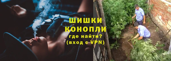 прущий лед Горняк