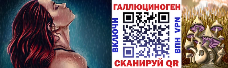 сколько стоит  Обоянь  kraken сайт  Псилоцибиновые грибы мицелий 